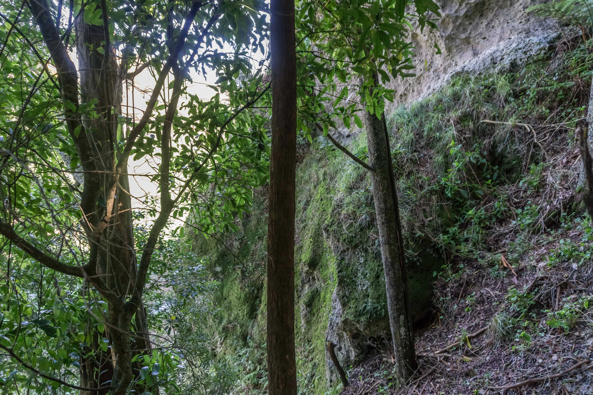 porous limestone cliffs 089 — Скачать