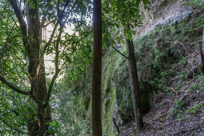 porous limestone cliffs 089 — Скачать