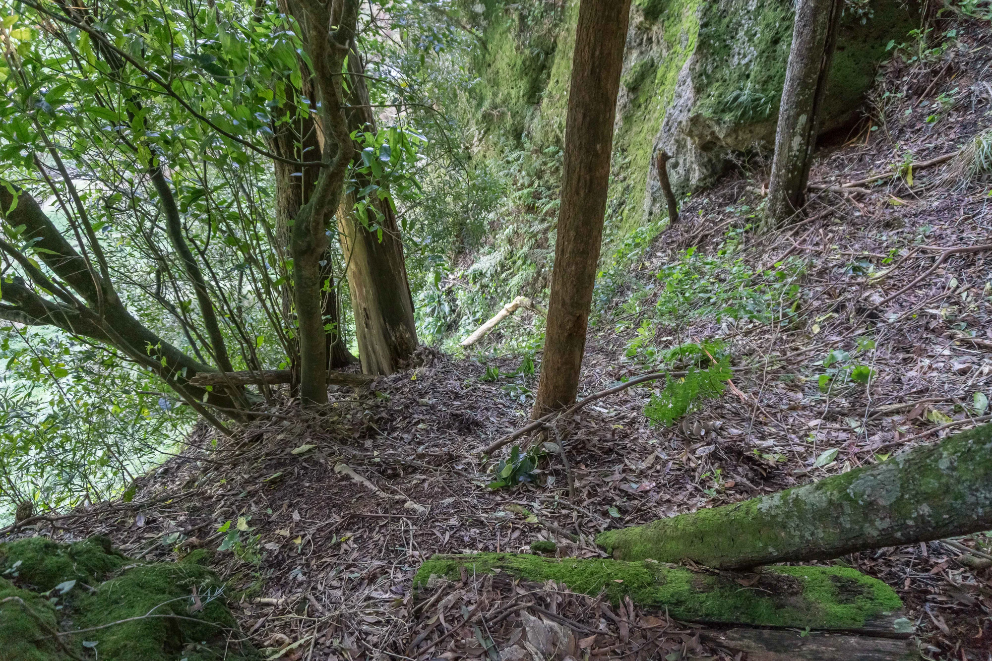 porous limestone cliffs 090 — Descargar