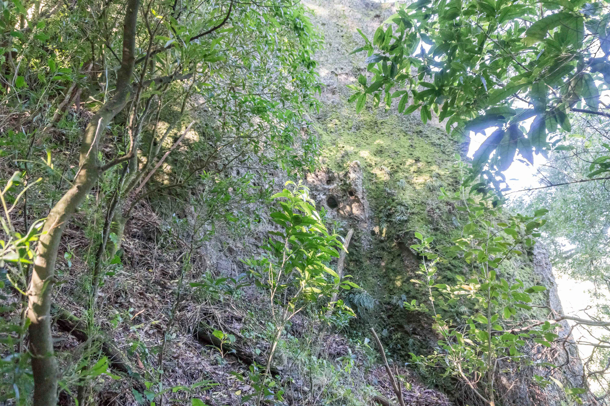 porous limestone cliffs 092 — Descargar
