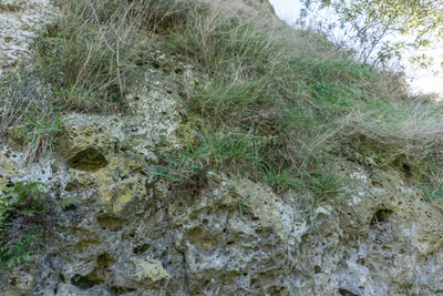 porous limestone cliffs 126 — Download