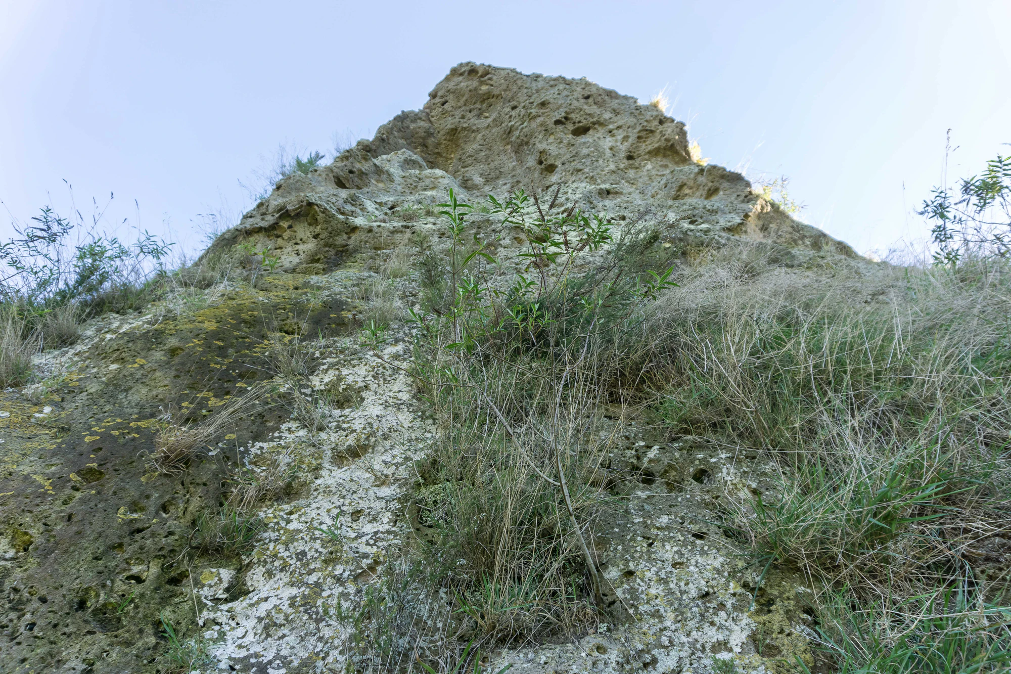 porous limestone cliffs 127 — Скачать