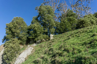 porous limestone cliffs 135 — Скачать