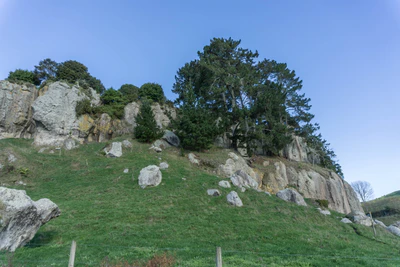porous limestone cliffs 144 — Download