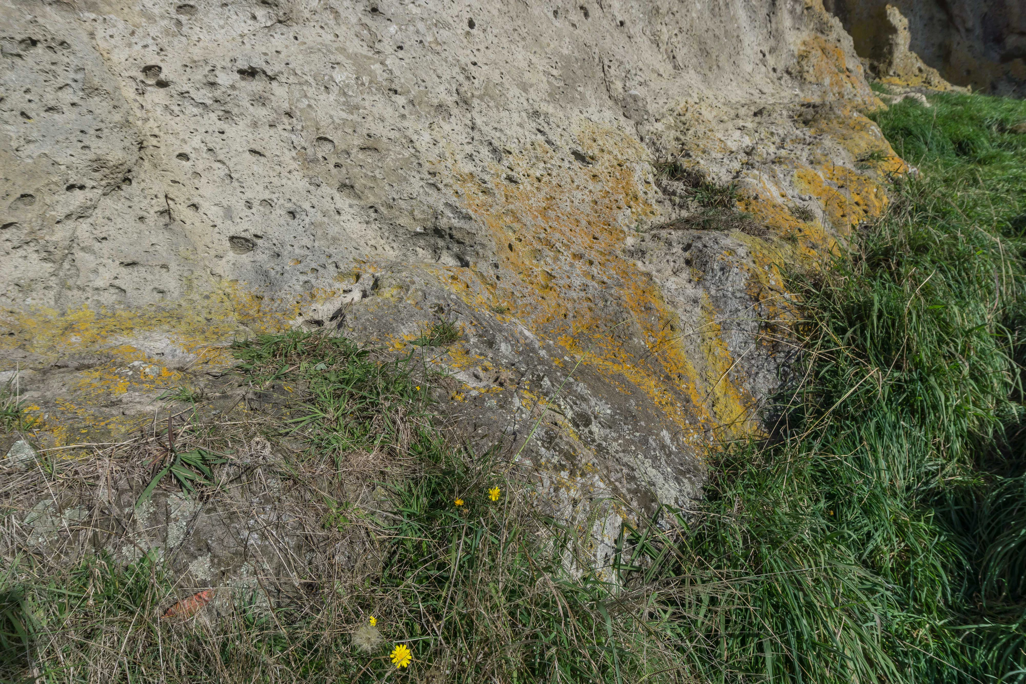 porous limestone cliffs 157 — Скачать