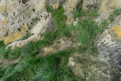 porous limestone cliffs 161 — Скачать