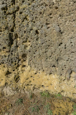 porous limestone cliffs 164 — Скачать