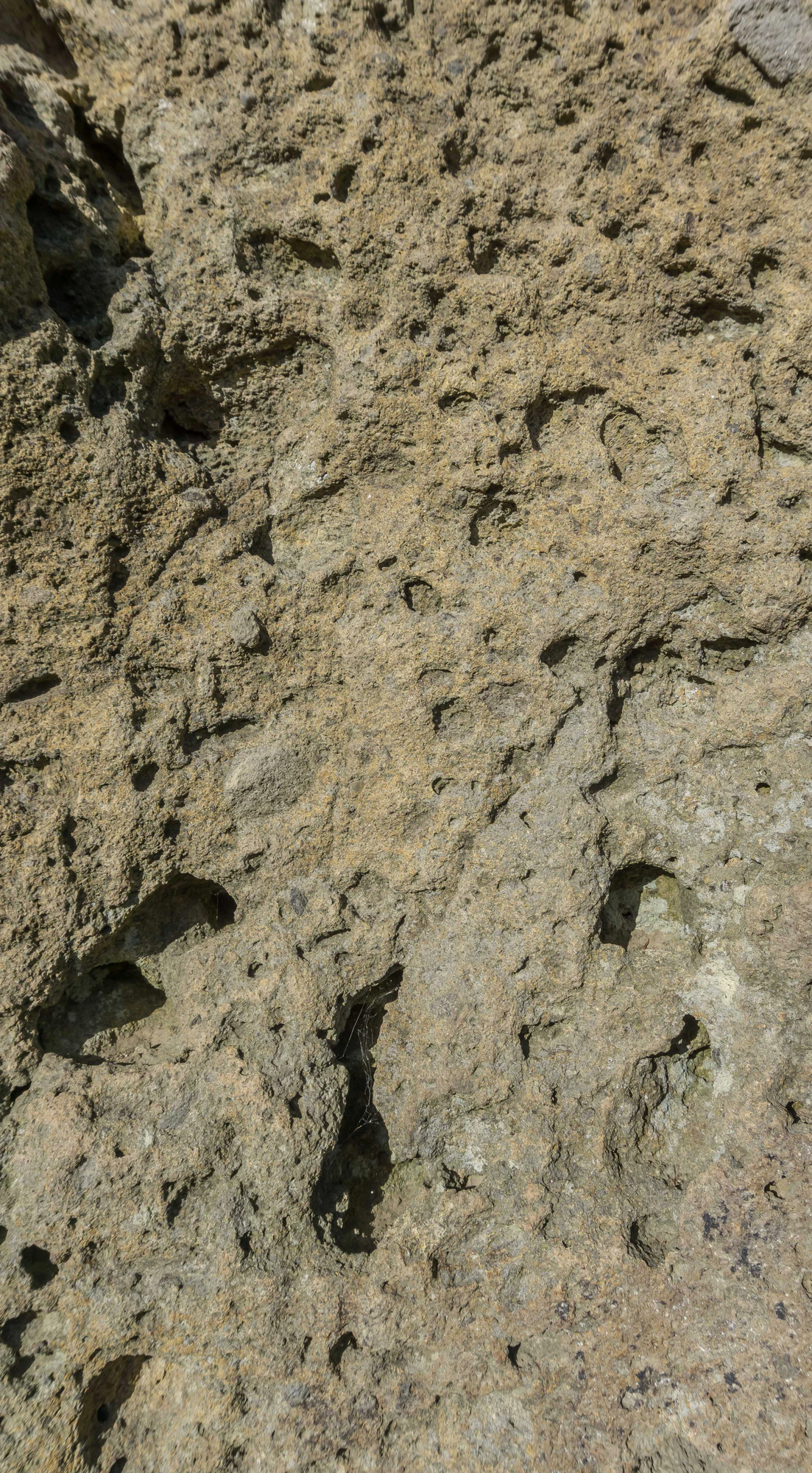 porous limestone cliffs 165 — Скачать