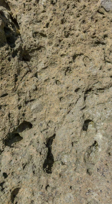 porous limestone cliffs 165 — Скачать