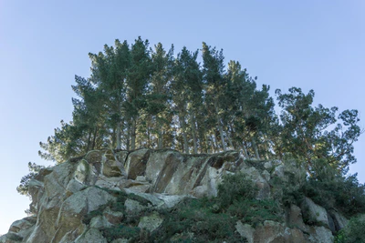 porous limestone cliffs 179 — Descargar