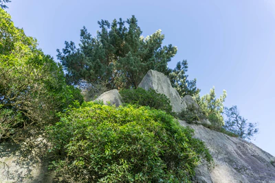 porous limestone cliffs 202 — Скачать