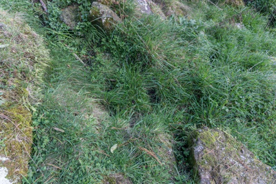 porous limestone cliffs 203 — Descargar