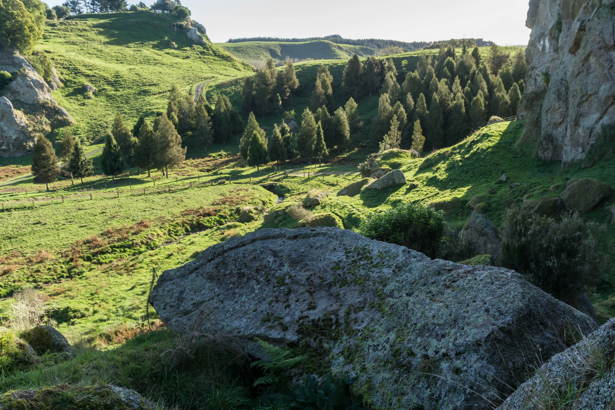 porous limestone cliffs 204 — Download