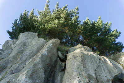 porous limestone cliffs 206 — Descargar