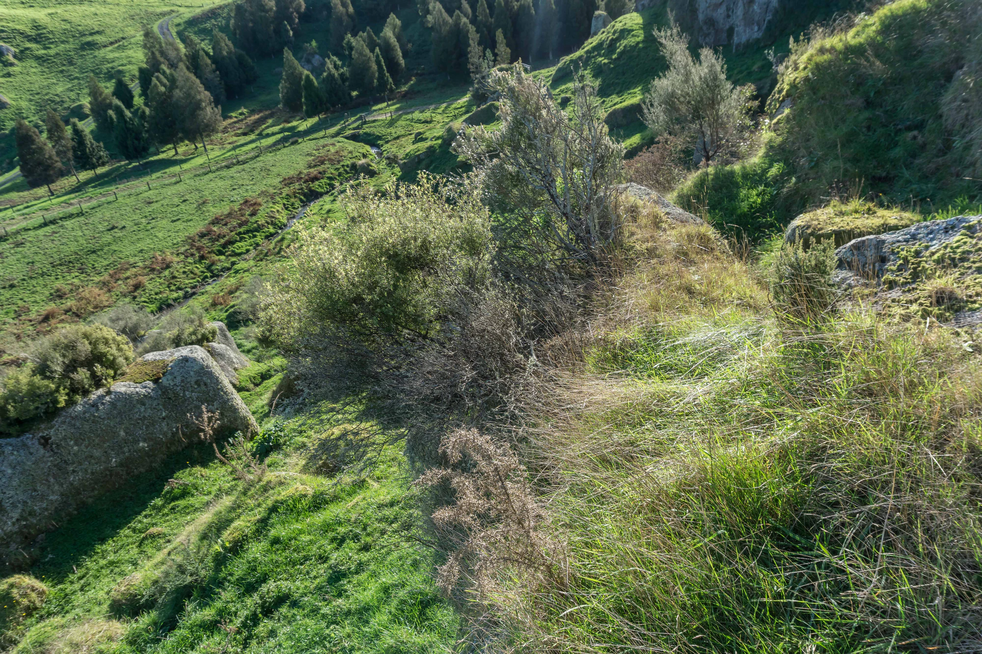 porous limestone cliffs 209 — Descargar