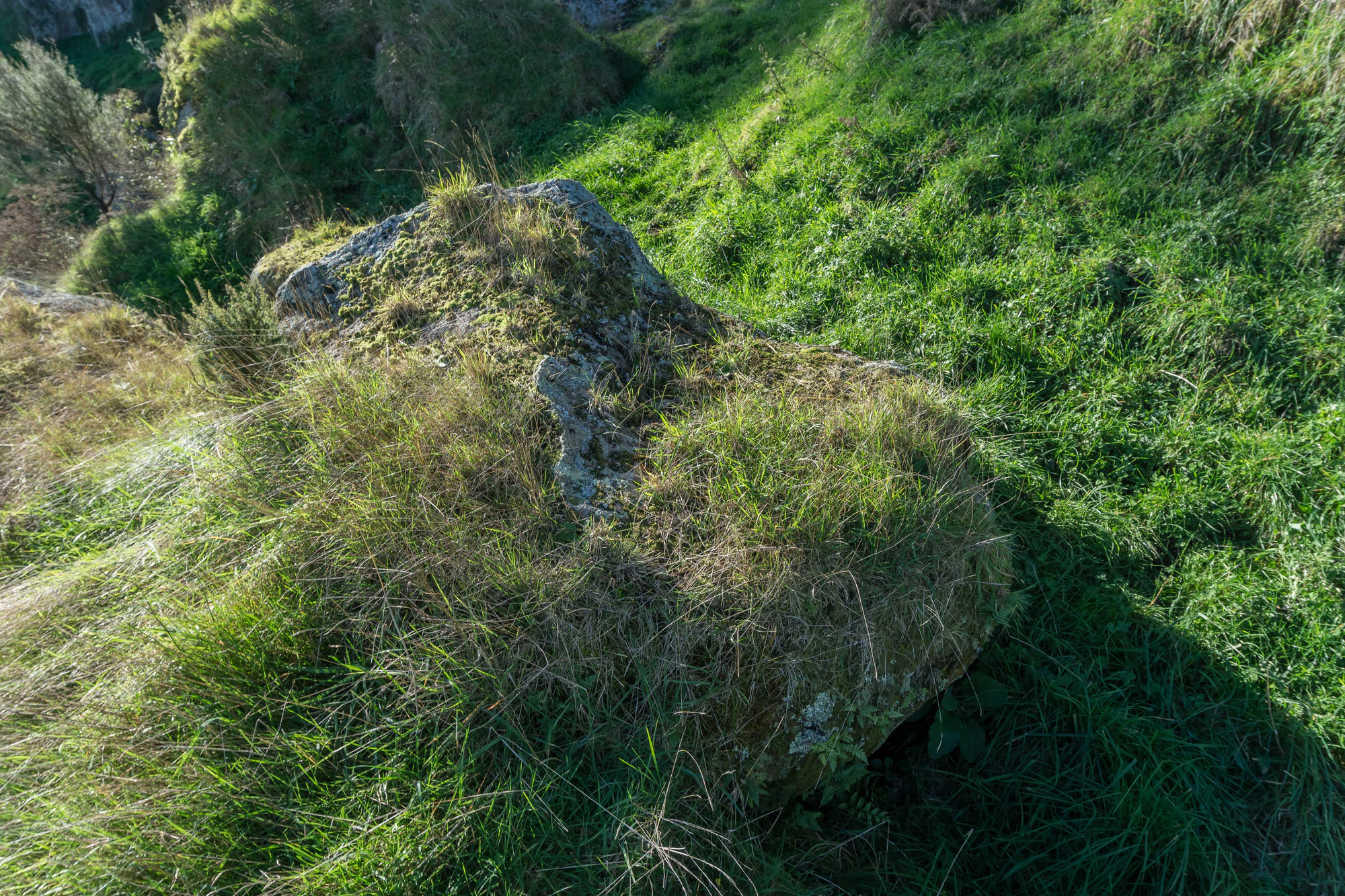 porous limestone cliffs 210 — Скачать