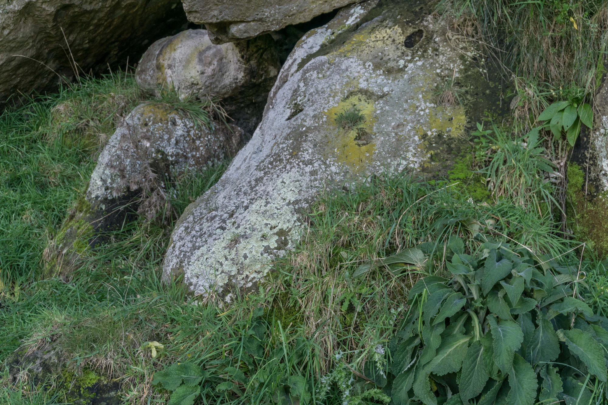 porous limestone cliffs 216 — Descargar