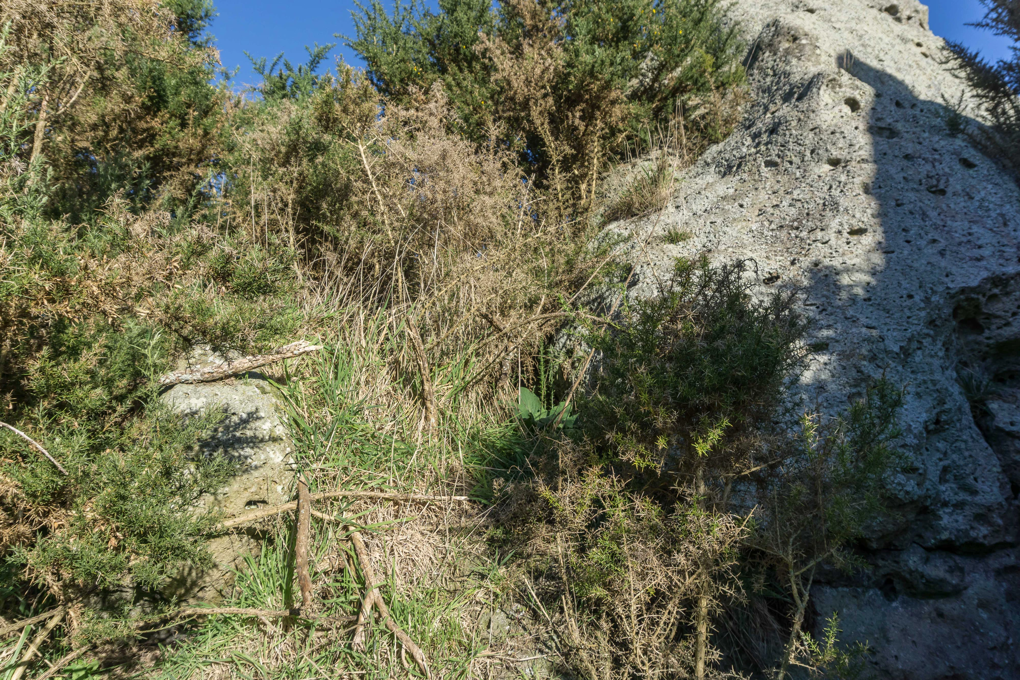 porous limestone cliffs 226 — Descargar