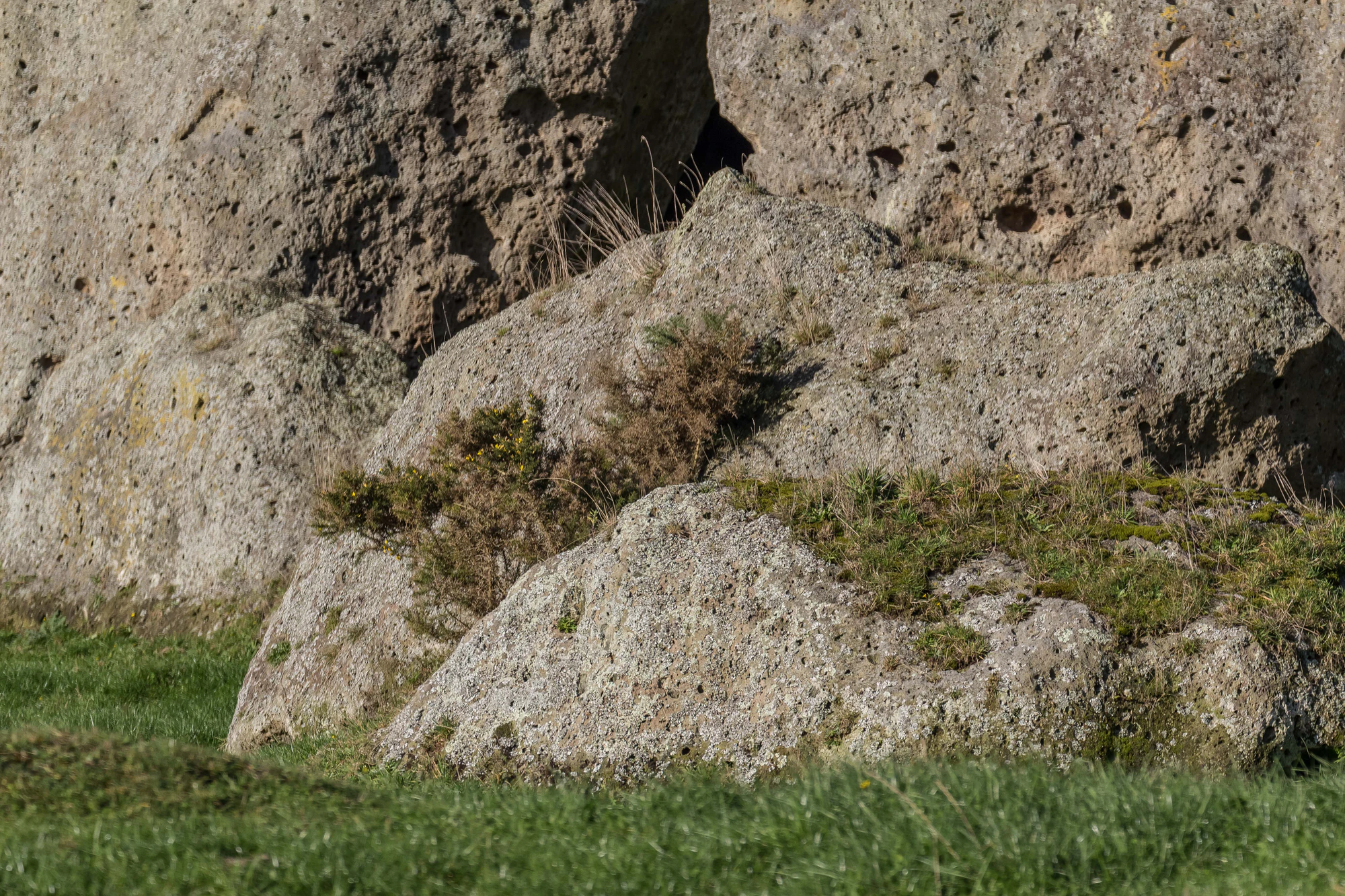 porous limestone cliffs 235 — Скачать