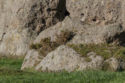 porous limestone cliffs 235 — скачать