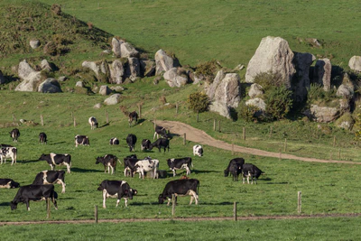 porous limestone cliffs 249 — скачать