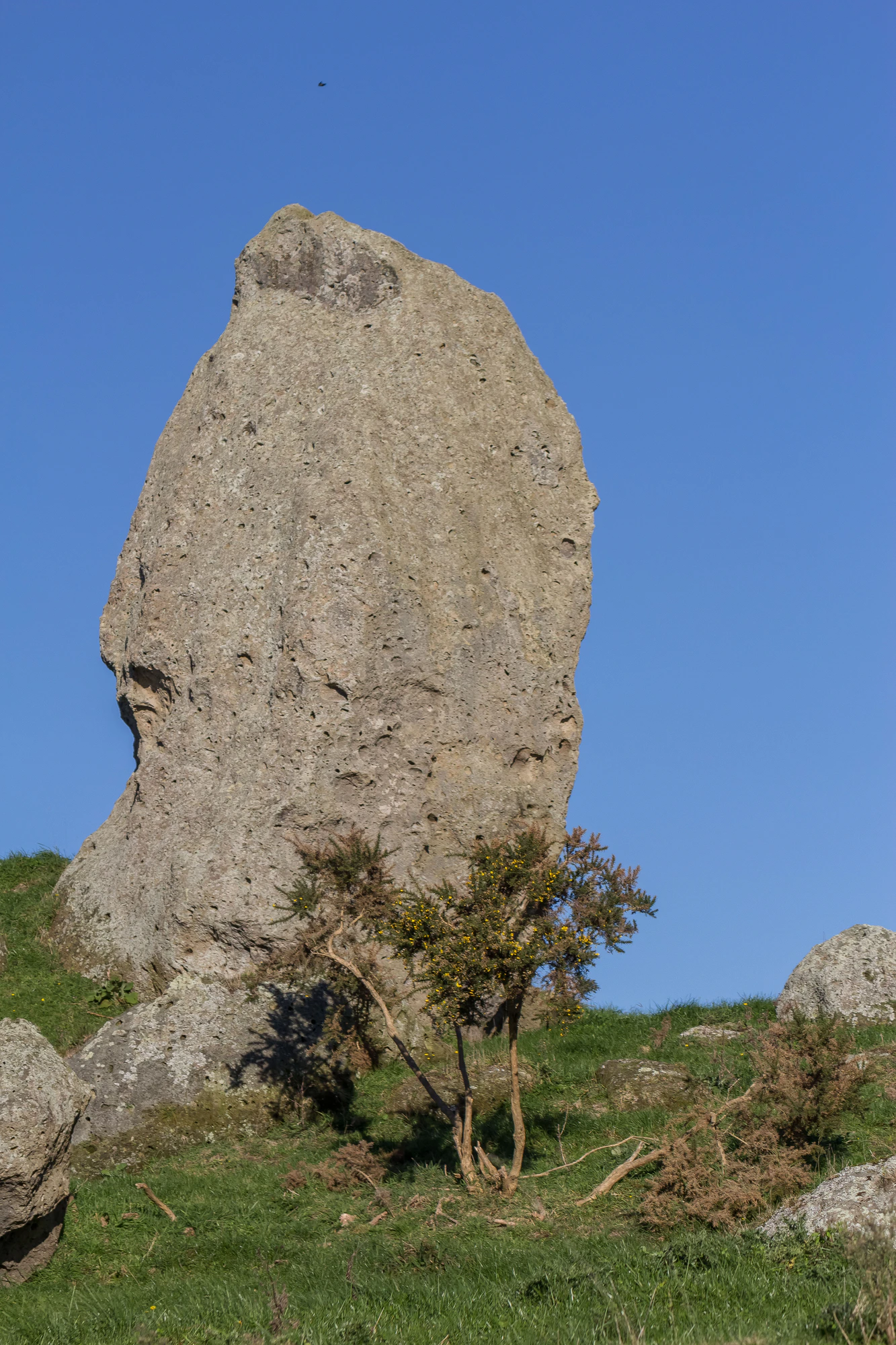 porous limestone cliffs 258 — Скачать