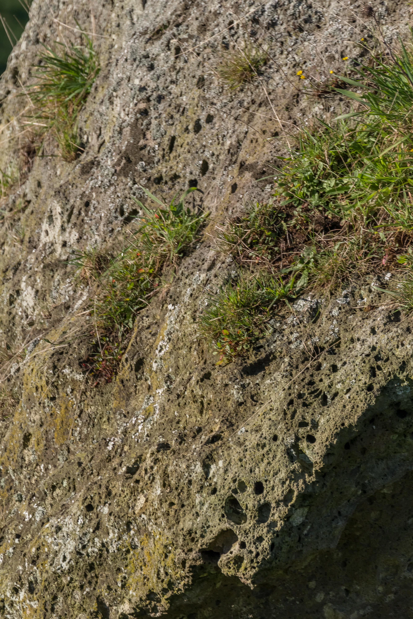 porous limestone cliffs 264 — Descargar