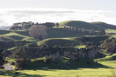 porous limestone cliffs 265 — скачать