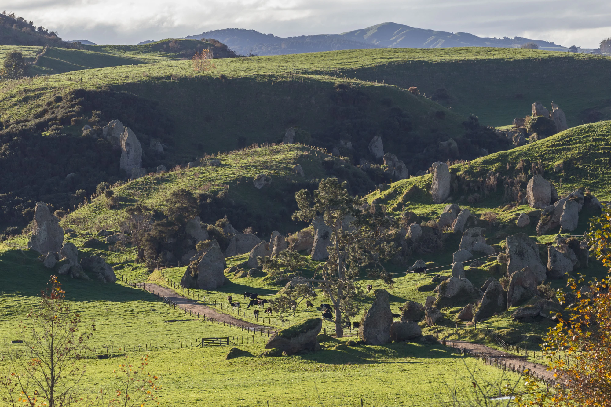 porous limestone cliffs 266 — Descargar