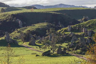 porous limestone cliffs 266 — скачать