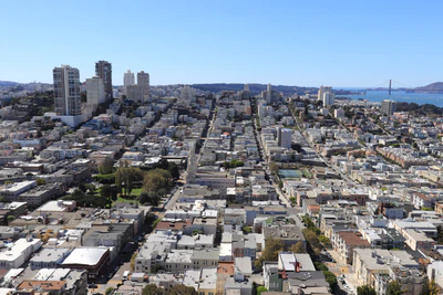 san francisco coit tower 038 — Скачать