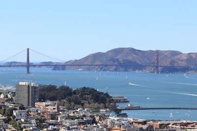 san francisco coit tower 050 — Скачать