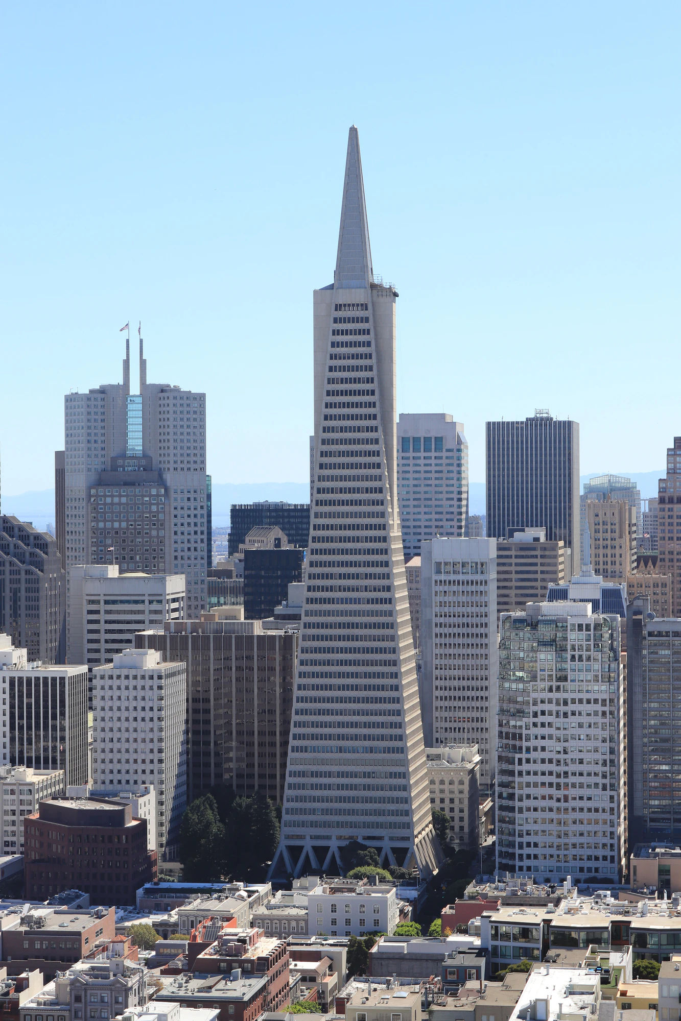 san francisco coit tower 074 — Скачать