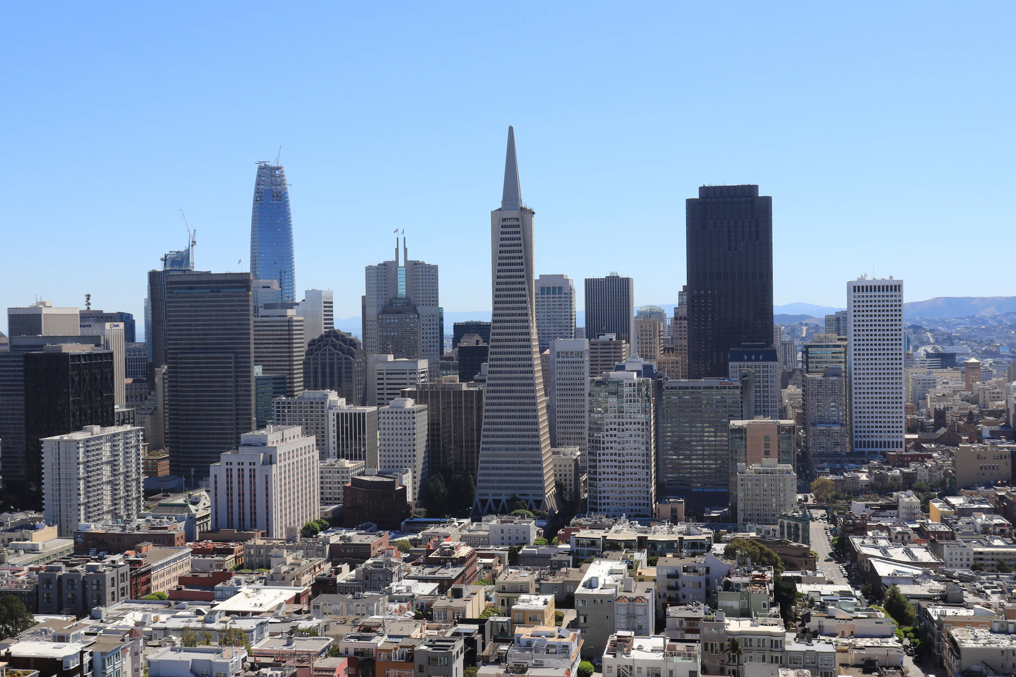 san francisco coit tower 075 — Скачать
