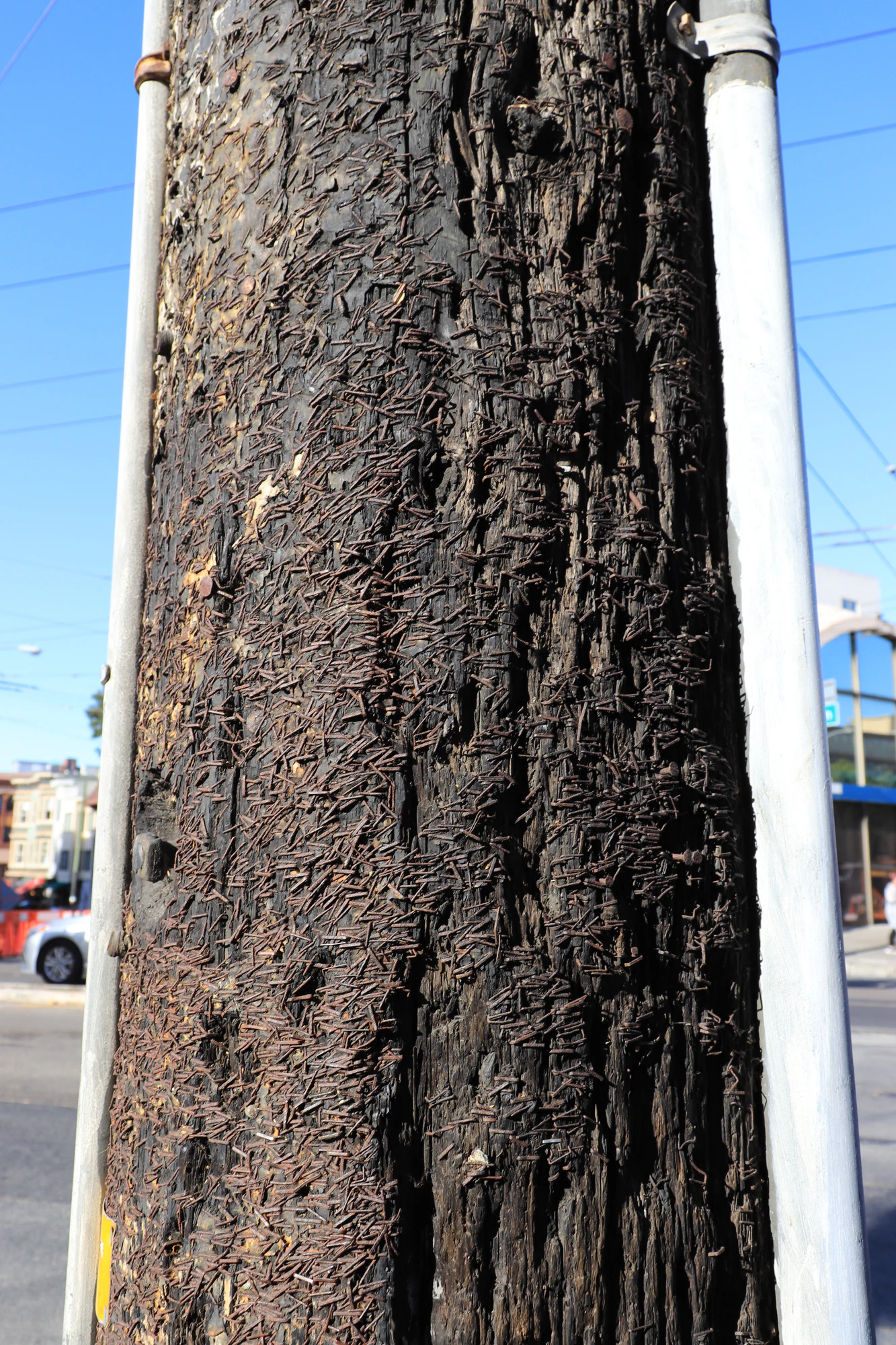san francisco columbus ave 012 — Descargar