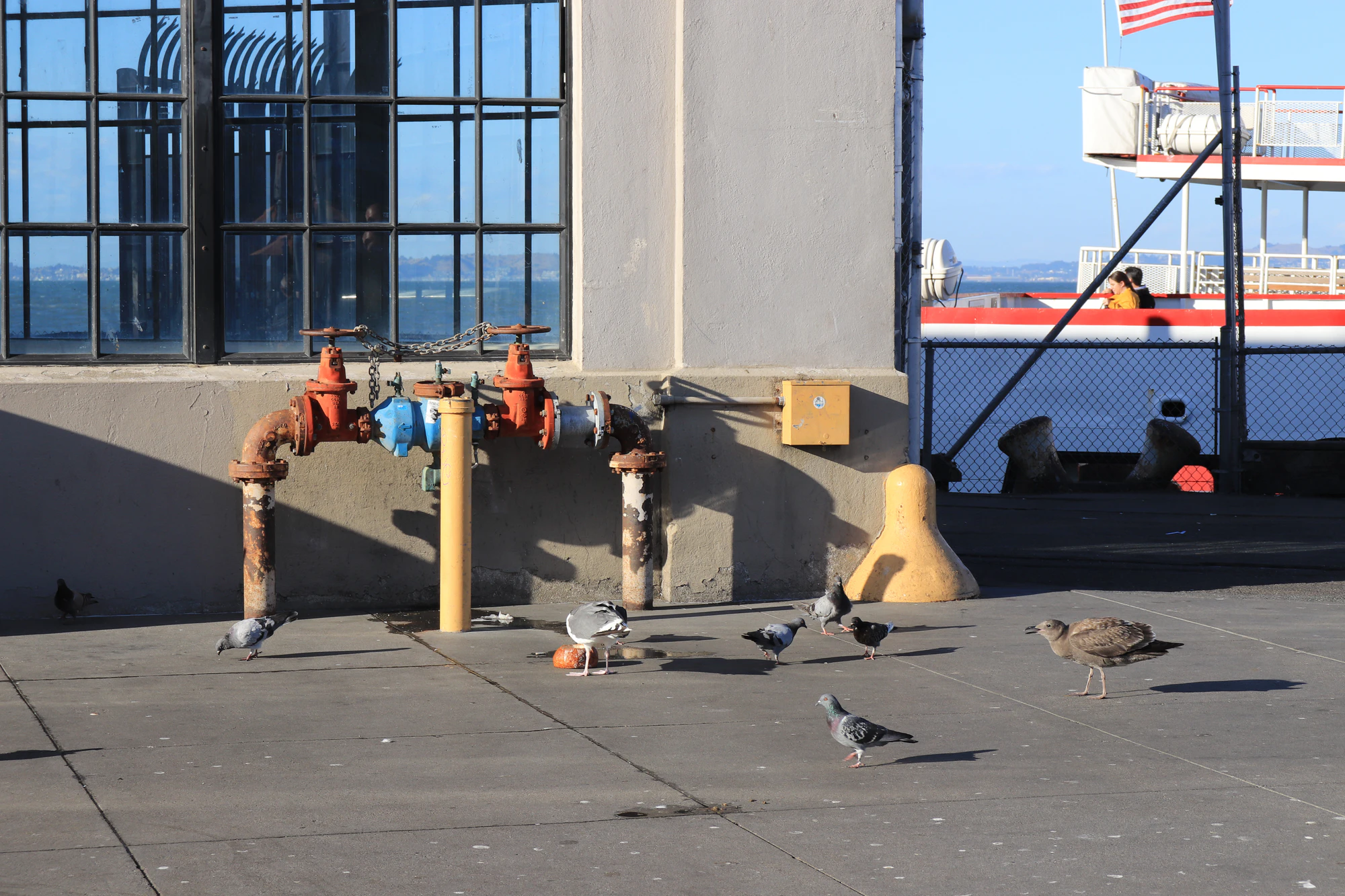 san francisco fisherman's wharf 016 — Descargar