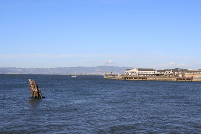 san francisco fisherman's wharf 022 — Descargar