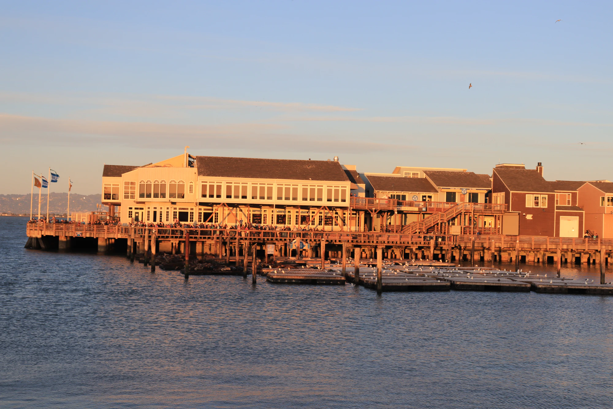 san francisco fisherman's wharf 041 — Descargar