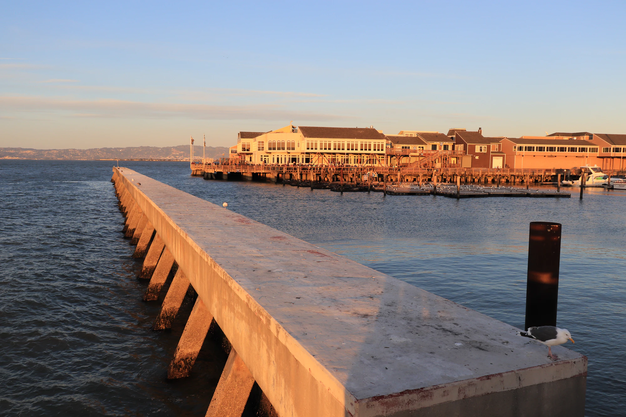 san francisco fisherman's wharf 042 — Descargar