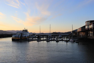 san francisco fisherman's wharf 056 — Descargar