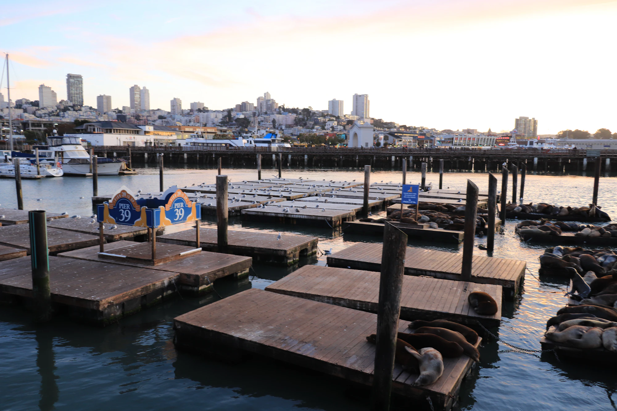 san francisco fisherman's wharf 061 — Descargar