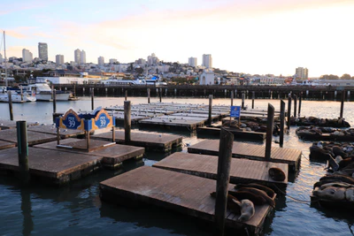 san francisco fisherman's wharf 061 — Descargar