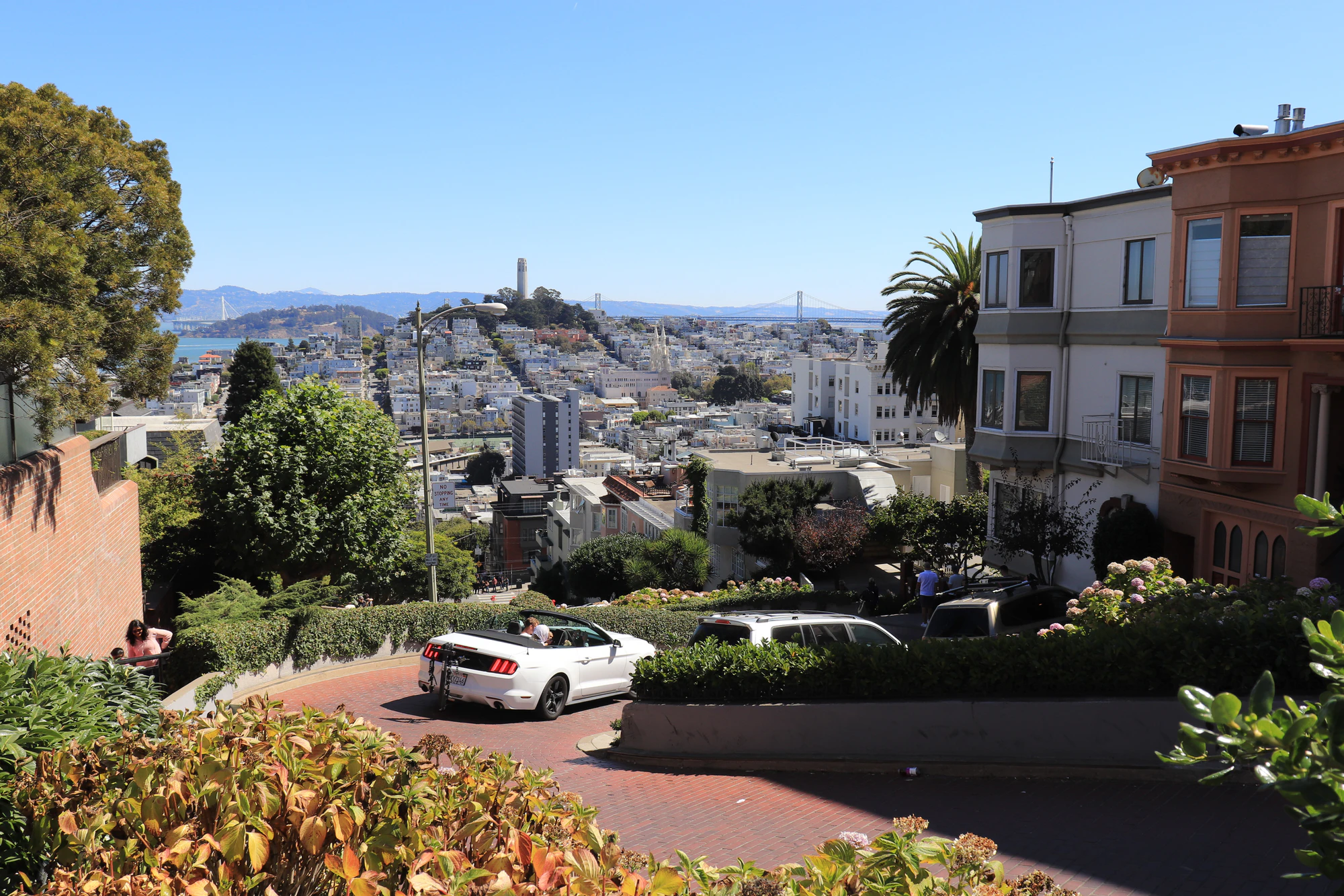 san francisco lombard street 029 — Скачать