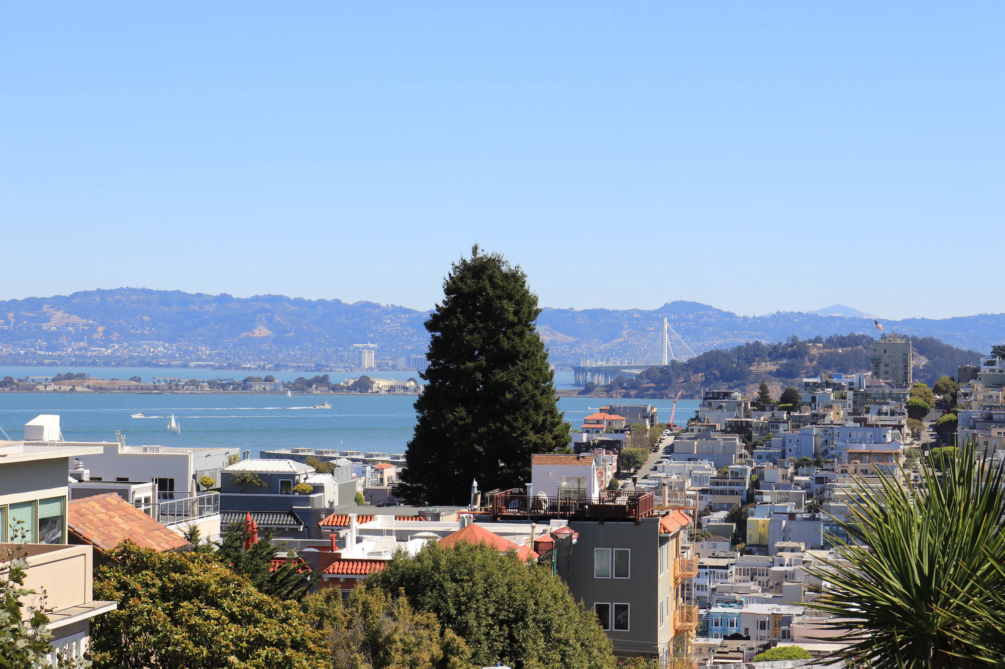 san francisco lombard street 033 — Descargar