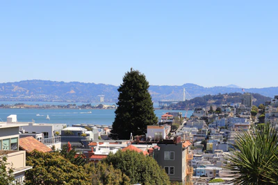 san francisco lombard street 033 — Descargar