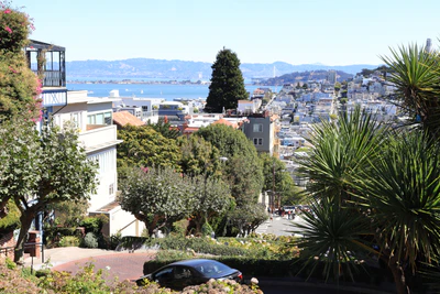 san francisco lombard street 034 — Descargar