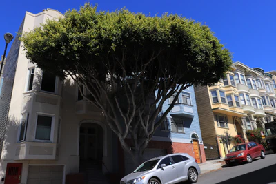 san francisco lombard street 063 — Скачать
