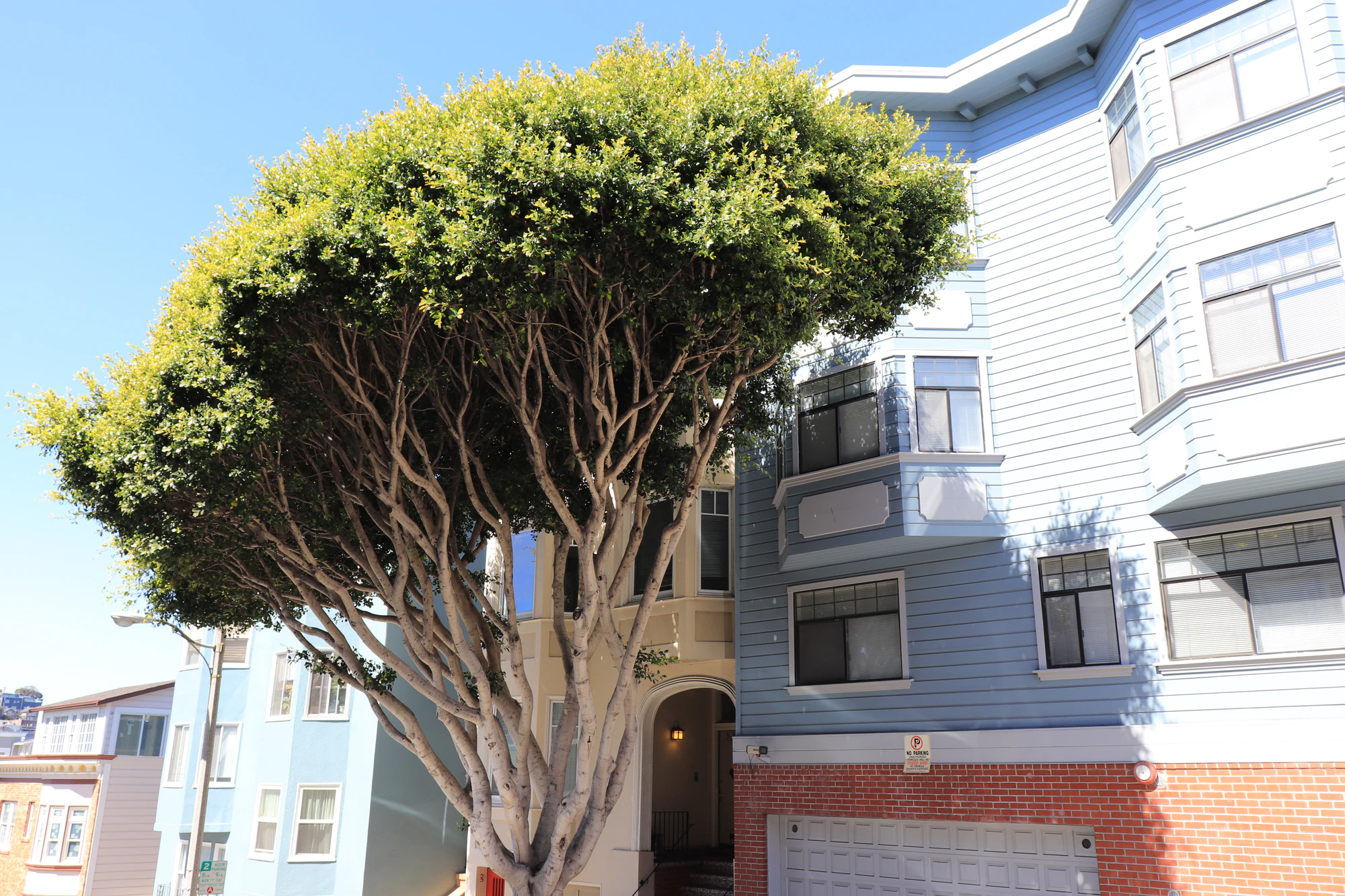 san francisco lombard street 066 — Descargar