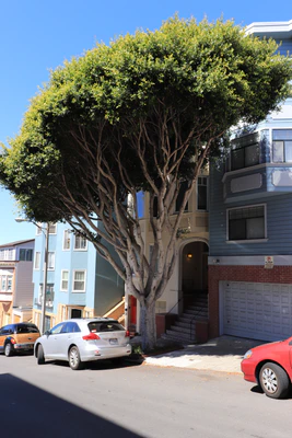 san francisco lombard street 067 — Скачать