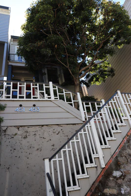 san francisco lombard street 072 — Descargar